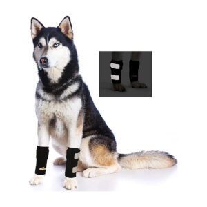 Front Leg Braces for Dog & Cat Arthritis Pain Relief with Reflective Safety Straps