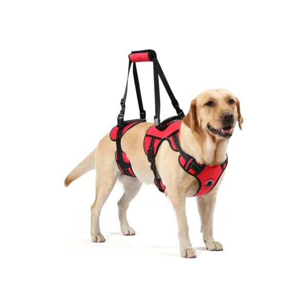 Front-Only, Rear-Only, or Full-Body Support Harness for Dogs in Need of Rehabilitation