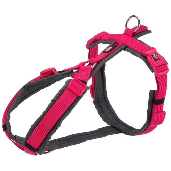 Fuchsia Graphite Dog Trekking Harness with Adjustable Flat Strap