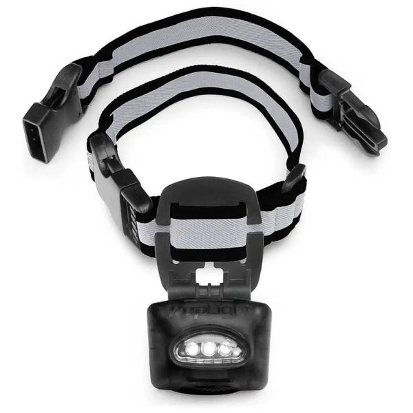 Full Circle Visibility Reflective Dog Collar with Adjustable Strap for Maximum Safety