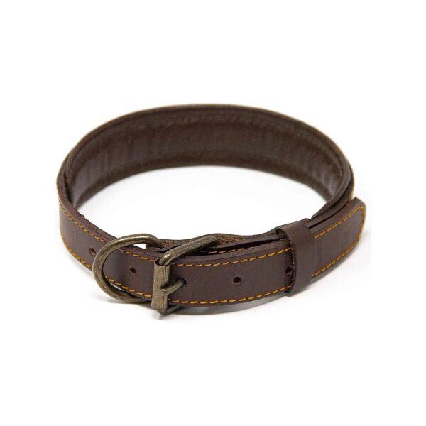 Full Grain Leather Padded Dog Collar for Medium Brown Dogs with Stain-Resistant Finish