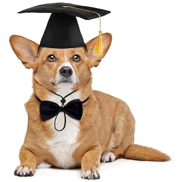 Full-Featured Dog Graduation Costume Set with Cap, Collar, and Headband