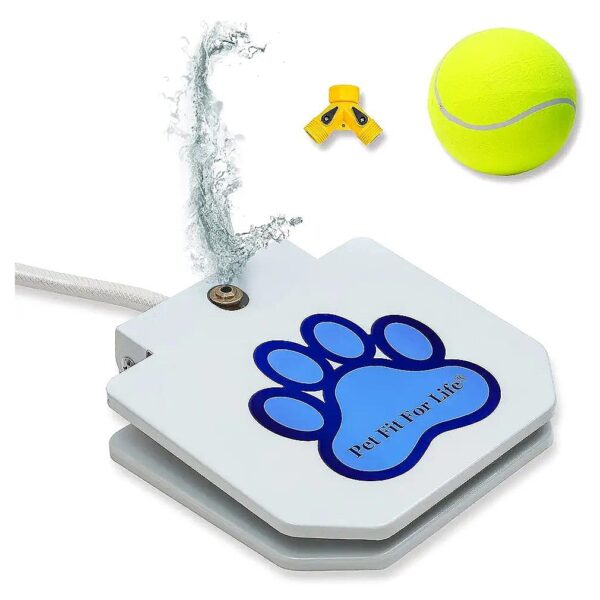 Fun and Durable Dog Water Fountain with Giant Tennis Ball and Water Hose