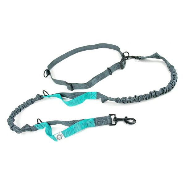 Fun and Functional Hands-Free Dog Leash for Active Medium to Large Dogs