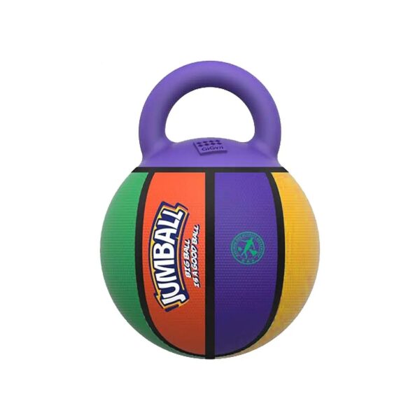 Fun and Interactive Dog Ball with High Visibility Colors