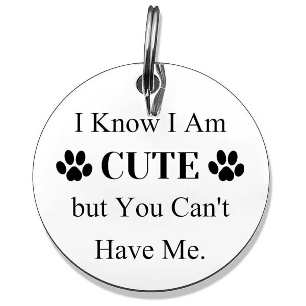 Funny Engraved Pet Tags Stainless Steel Gift Ideas for Dog Cat Lovers and Their Families