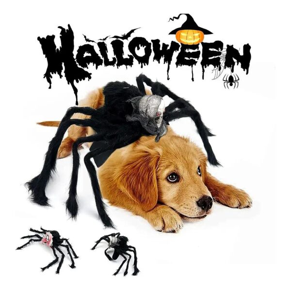 Funny and Softhearted Spider Halloween Costume for Cats and Small Dogs