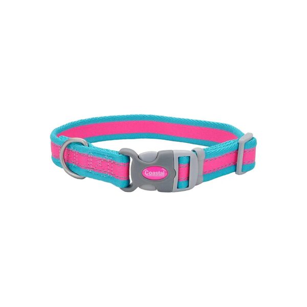 Fuscia with Teal Adjustable Dog Collar with Reflective Material for Dogs of All Sizes