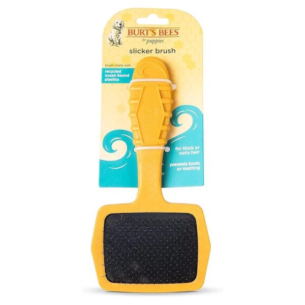 Gentle Grooming Brush for Small Dogs with Thick or Curly Hair Removes Knots