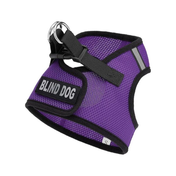 Gentle Padded Dog Harness with No Choke Design for Pets 21 to 24 inches Girth Purple