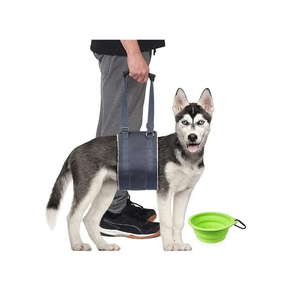 Gentle Support for Older Dogs with Weak Hind Legs - Dog Lift Harness