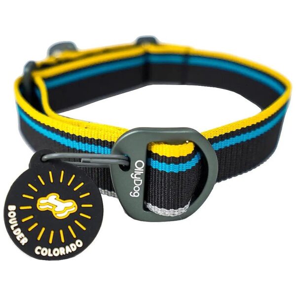 Gentle and Durable Martingale Webbing Collar with No Buckle for Small Dogs Anthracite