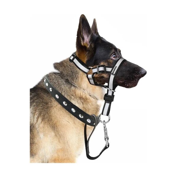 Gentle and Effective Dog No Pull Head Collar for Adult Dogs