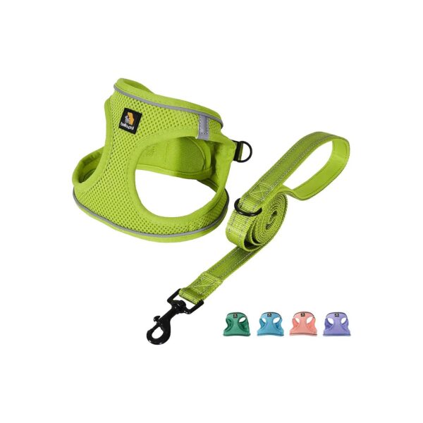 Gentle on Necks and Wrists Dog Harness for Small Breeds and Toy Dogs