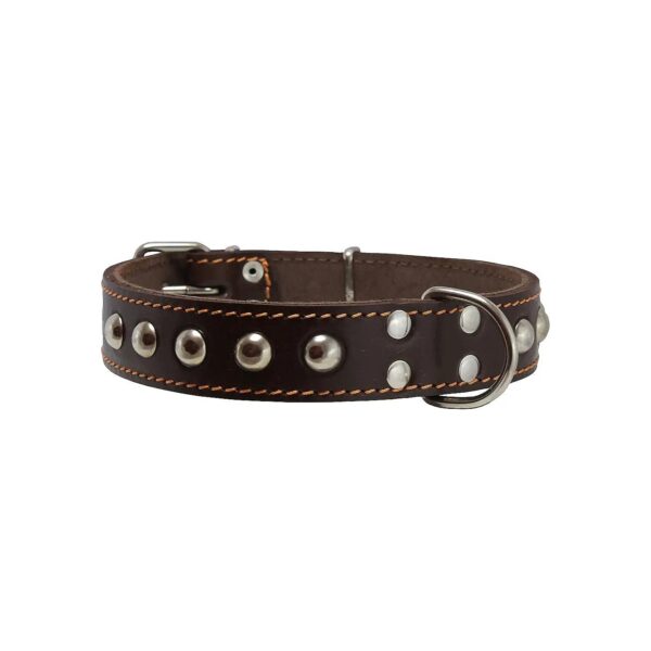 Genuine Double Layer Leather Collar for Medium Breed Dogs with 15-20" Neck