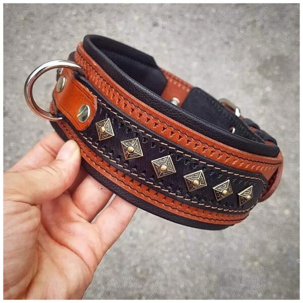 Genuine Leather Brown Studded Dog Collar with Brass Rivets for Large Breeds