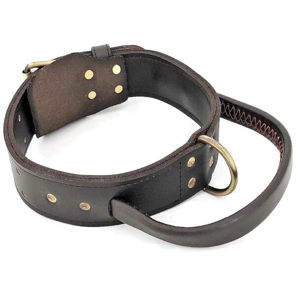 Genuine Leather Dog Collar with Handle 14-16 Inch Neck Size Medium and Large Pet