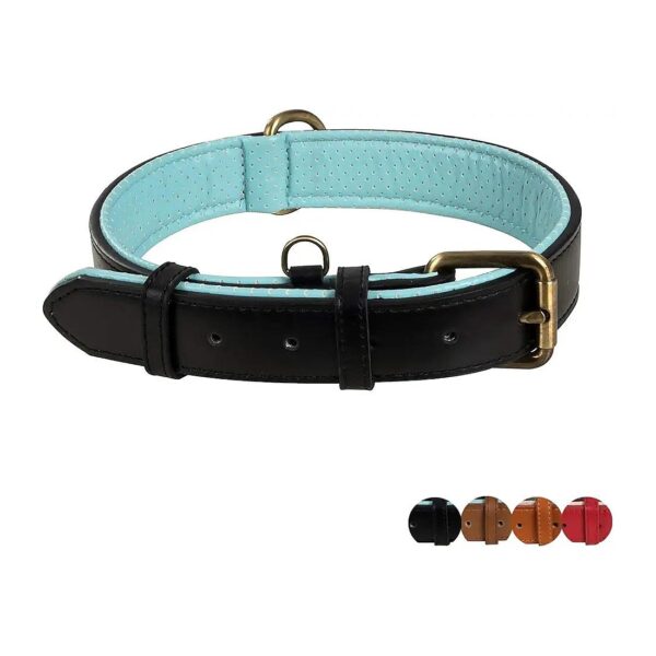 Genuine Leather Dog Collar with Metal Buckle and Soft Padded Inner Layer for Large Dogs