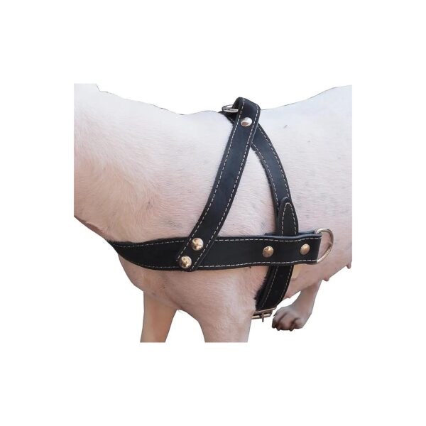 Genuine Leather Dog Pulling Walking Harness for Medium to Large Breeds