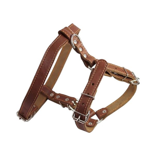 Genuine Leather Dog Walking Harness 21-24 Chest Medium Brown