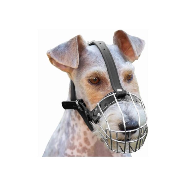 Genuine Leather Metal Muzzle for Dogs Adjustable Snout Circumference 8-4 in