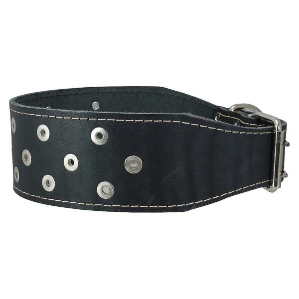 Genuine Leather Studded Black Leather Collars for Amstaff Medium Breeds