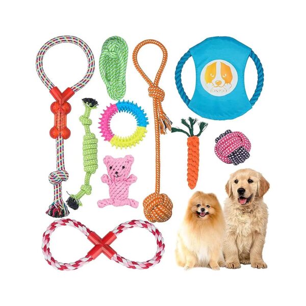 Gift Set of 10 Dog Toys for Small to Medium Breed Dogs with Various Interactive Features