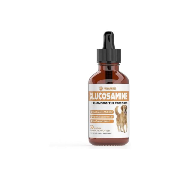 Glucosamine Chondroitin Liquid Supplement for Dogs Supports Healthy Hips Joints 1 oz