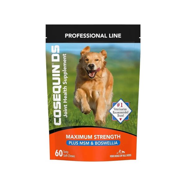 Glucosamine Chondroitin MSM Soft Chews for Healthy Joint Care in Dogs