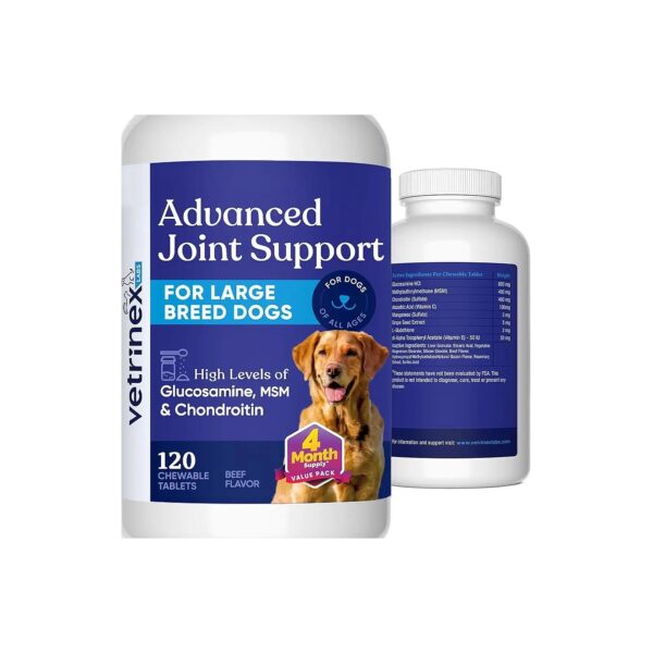 Glucosamine Chondroitin MSM and Beef Flavor Joint Support Tablets for Large Breed Dogs