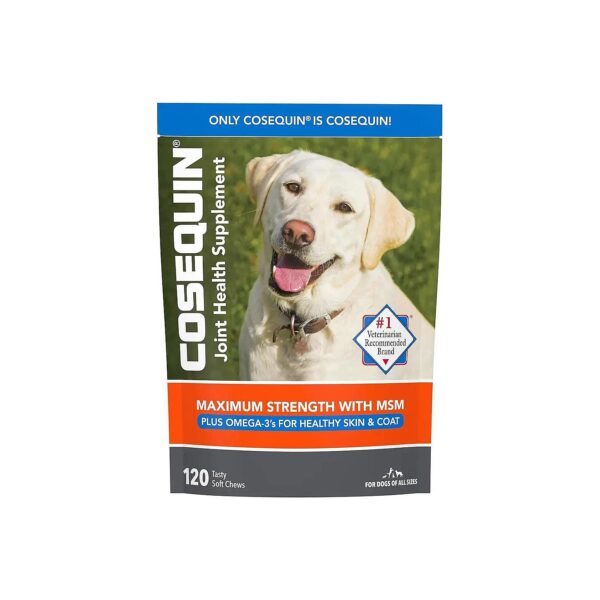 Glucosamine Chondroitin Omega 3 Rich Joint Health Supplement for Dogs Soft Chews