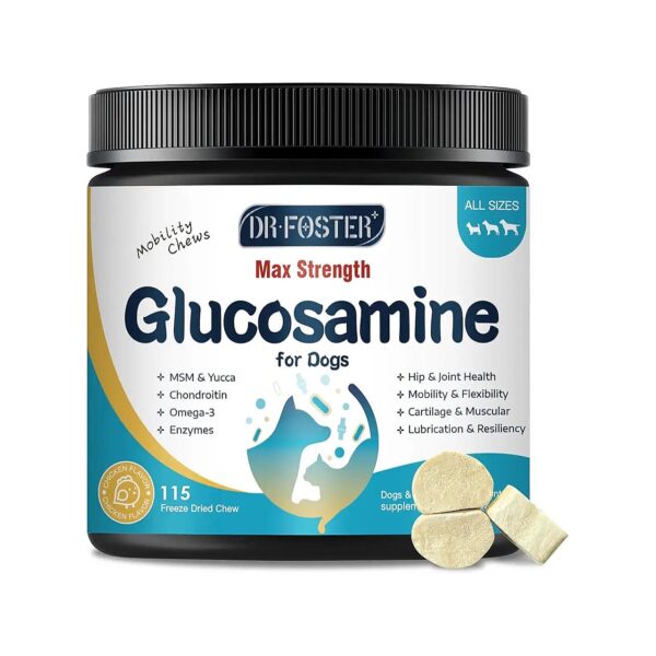 Glucosamine Chondroitin Sulfate Supplements for Dogs with Healthy Cartilage Support