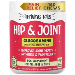 Glucosamine Chondroitin Supplement for Healthy Joints in Small, Large, and Senior Dogs