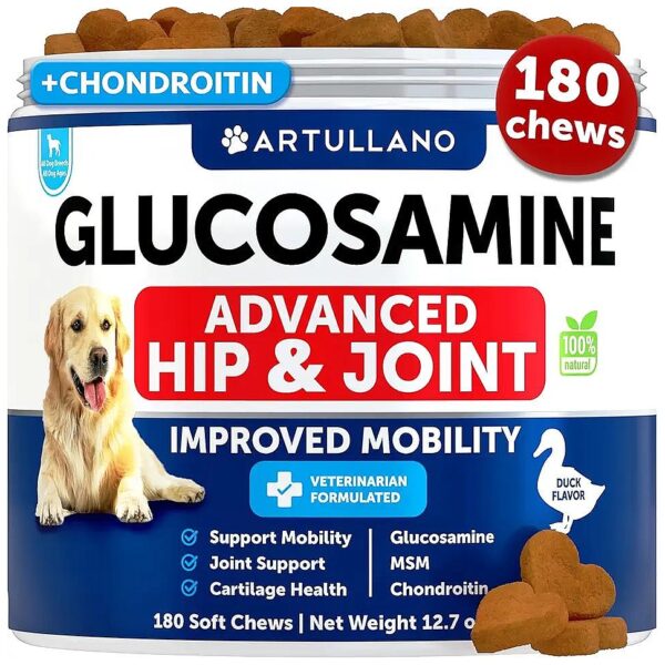 Glucosamine Support for Dogs with Hip Dysplasia and Joint Issues