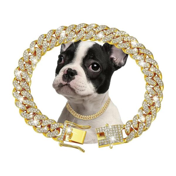 Gold Zirconia Diamond Dog Chain Collar for Small Medium Large Dogs and Cats