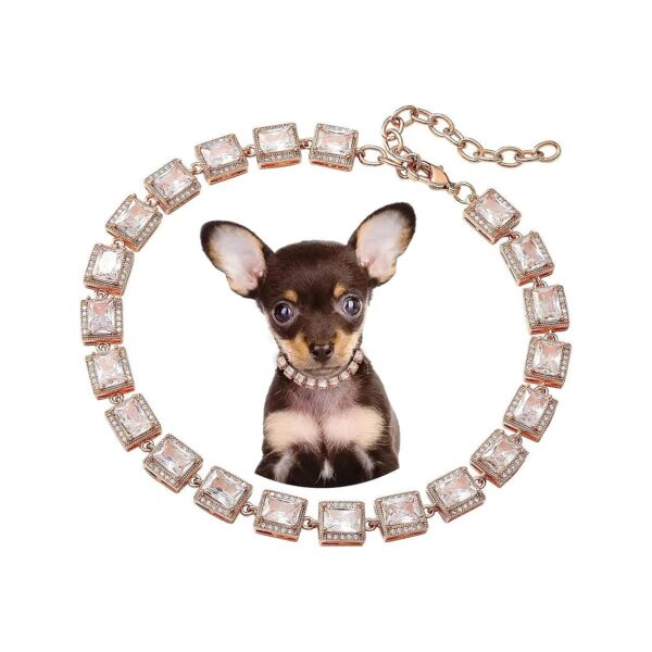 Golden Dog Chain Collars with Cubic Zirconia Stones for Small to Medium Pets and Kitties