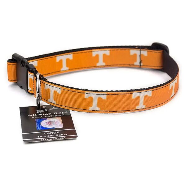 Golden Tennessee Volunteer Ribbon Dog Collar for Large Dogs with Buckle Closure