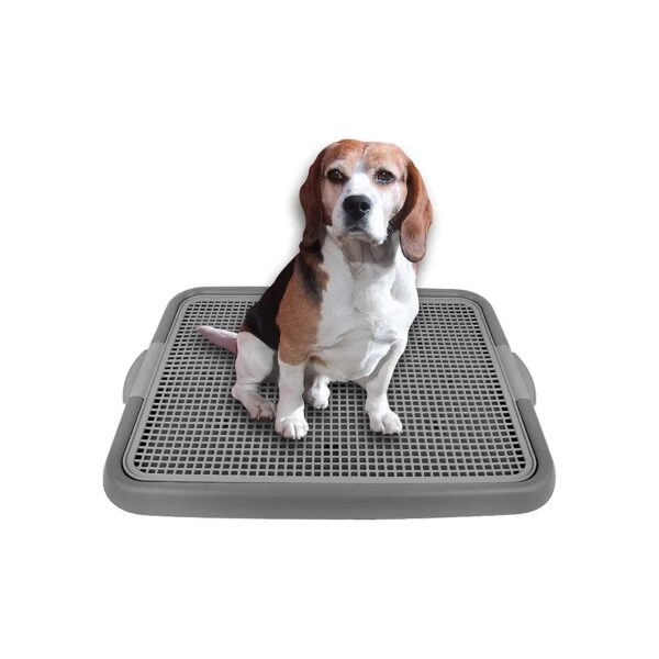 Gray Gray Mesh Training Toilet Potty Tray for Small Size Dogs and Puppies 3x3x2 Inch