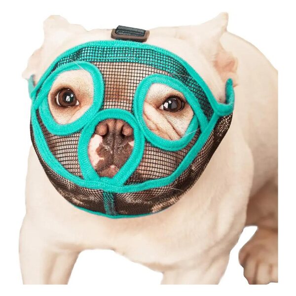 Green Adjustable Dog Muzzle for Medium-Sized Dogs with Anti-Chewing Properties