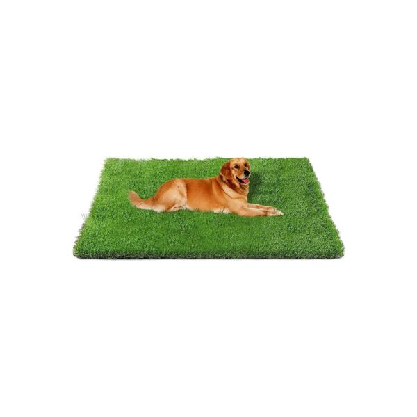 Green Decor for Dogs 3FTx5FT Artificial Turf Rug with Drainage Hole for Pet Play Area