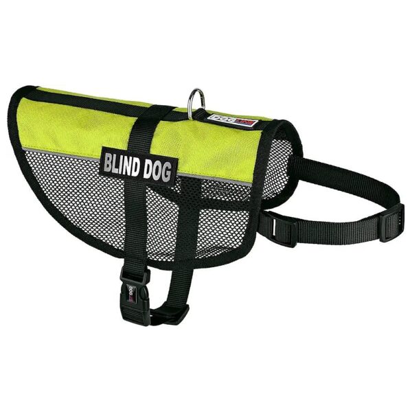 Green Dog Vest with Removable Blind Patches for Small to Medium Dogs