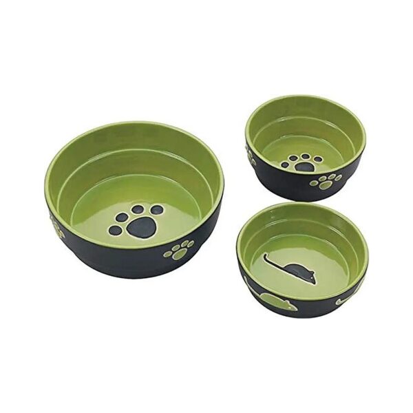 Green Echoing Pet Stoneware Dog Dish with Matte Finish and Glossy Interior