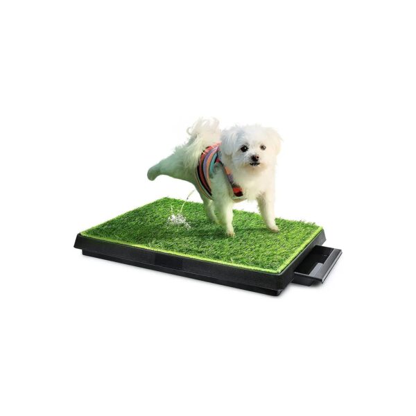 Green Indoor Puppy Training Pad with Removable Waste Tray for Easy Cleanup