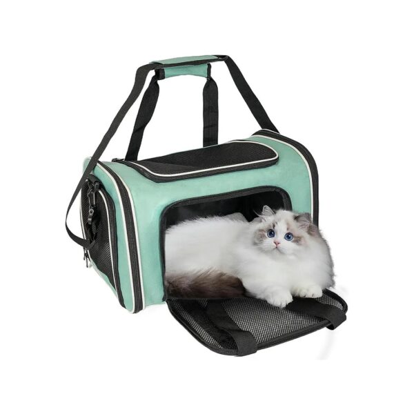 Green Medium Soft-Sided Pet Carrier for Small to Large Cats and Dogs