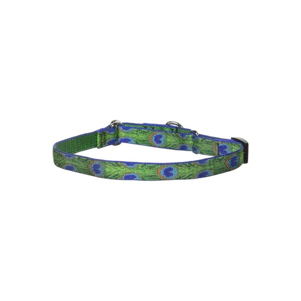 Green Tail Feathers Martingale Collar for Medium and Large Dogs