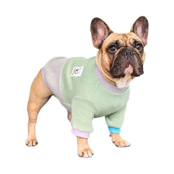 Green and Grey Color Block Sweater for French Bulldog and Shiba Inu Medium Dogs