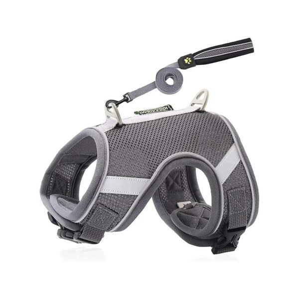 Grey Adjustable Mesh Vest Harness with Leash for Kittens Puppies Rabbits