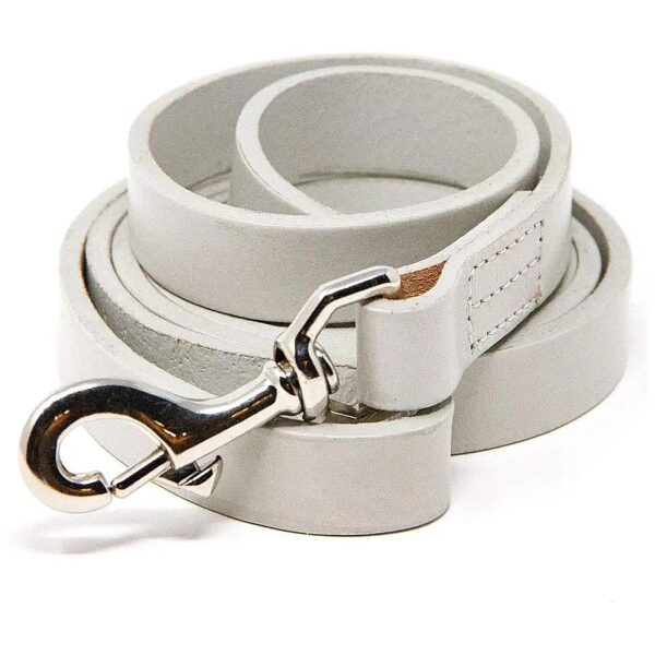 Grey Full Grain Leather and Nylon Leash for Daily Dog Walking and Training