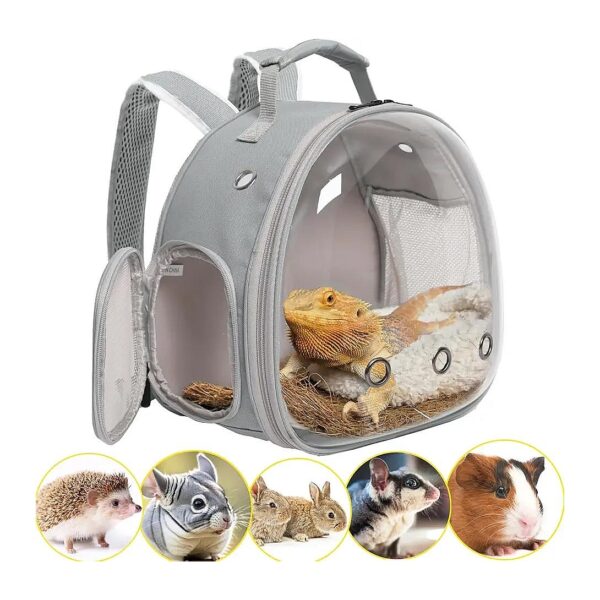 Grey Guinea Pig Bearded Dragon Backpack Carrier with Clear Bubble Window