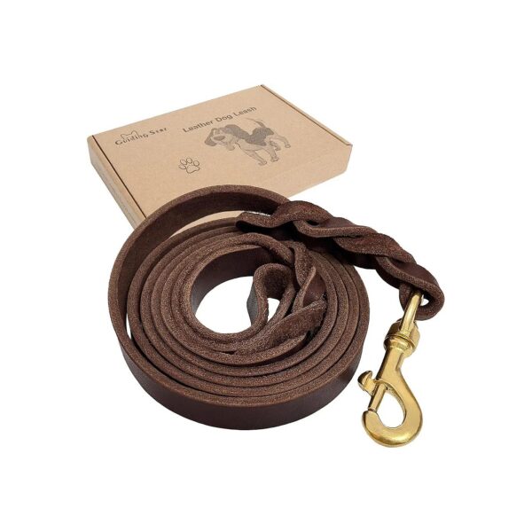 Guiding Star Leather Dog Leash for Large and Medium Dogs, 6ft, Brown